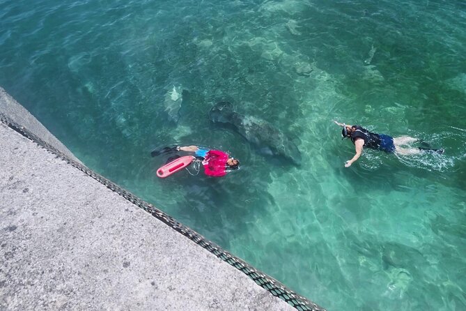 San Juan Snorkel with Turtles and Manatee's; Free Video and Rum! - What the 90-minute route feels like