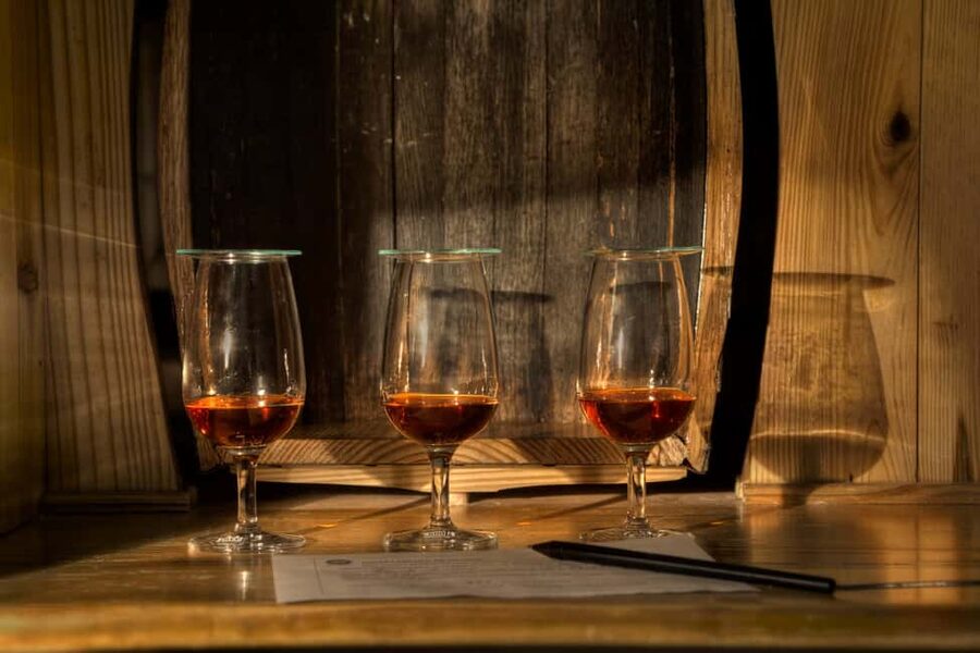 San Pedro De Macoris: Ron Barcerló Rum Factory Tour - The guides make the visit easier to follow