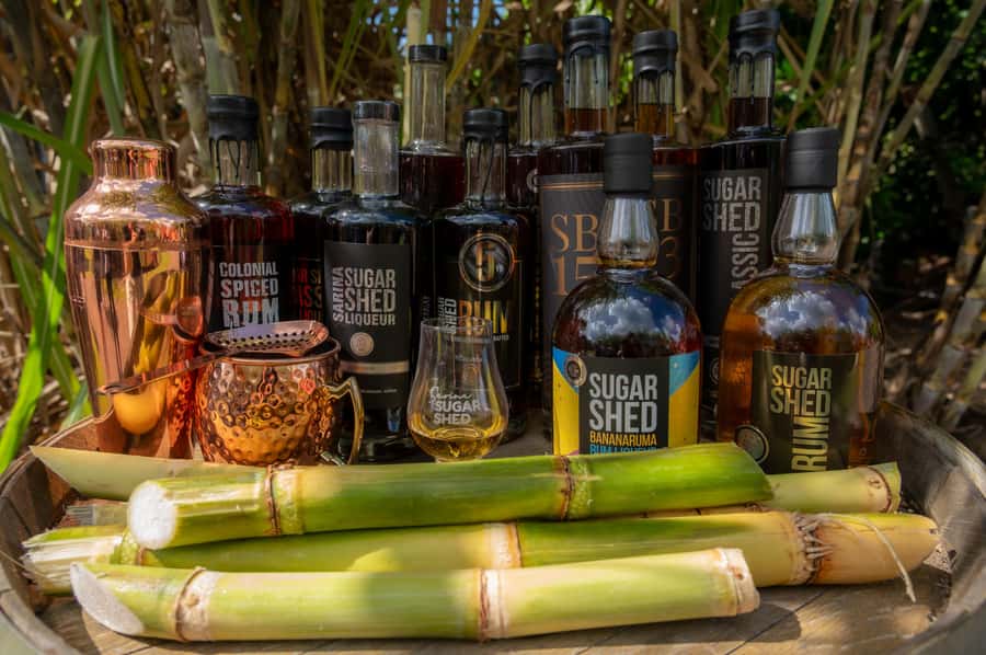 Sarina: Rum Distillery Guided Tour and Tasting - Who will enjoy this most?