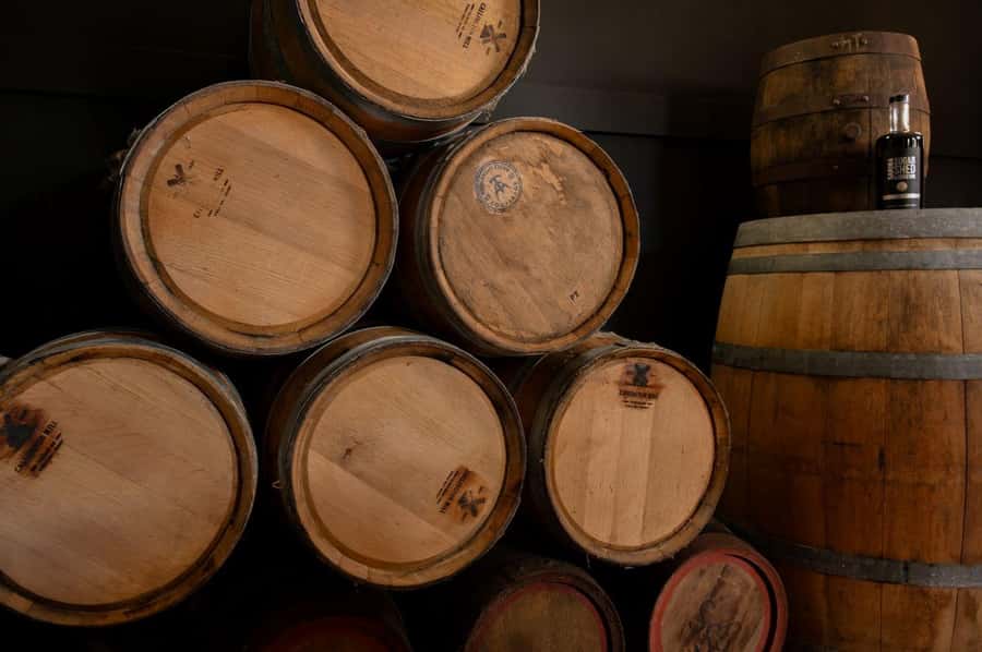 Sarina: Rum Distillery Guided Tour and Tasting - What happens during the 30-minute session