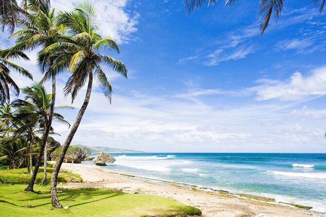Small-Group Story of Rum Tour in its Birthplace of Barbados - Bathsheba gives the tour a needed change of pace