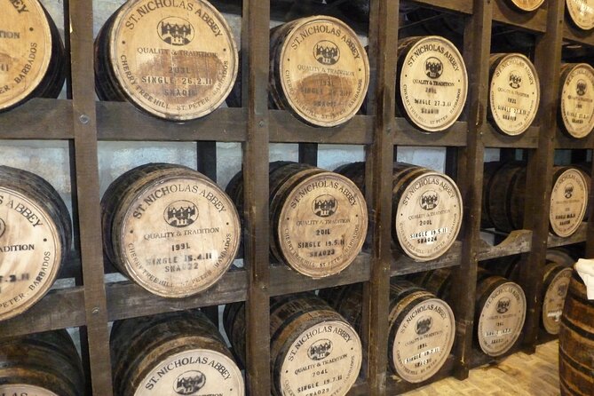 Small-Group Story of Rum Tour in its Birthplace of Barbados - Your guide and the road between stops