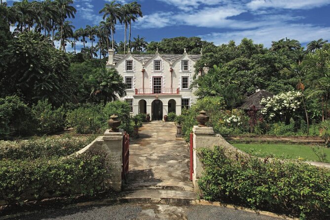 Small-Group Story of Rum Tour in its Birthplace of Barbados - What the St Nicholas Abbey tasting is like