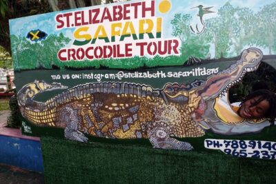 South Coast Tour to YS Falls, Black River Safari and Appleton Rum