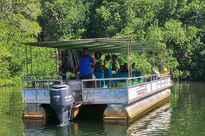 South Coast Tour to YS Falls, Black River Safari and Appleton Rum - Who will get the most from this tour