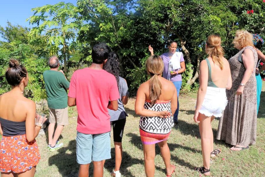 St. John's: Rum Cooking Class with 6 Rum Tastings - Dessert brings the rum tasting back to the table