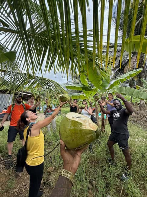 St. Lucia: ATV Tour with Beach Ride and Rum Tasting - Rainforest trails and banana plantations