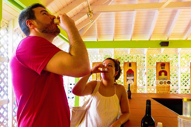 St Lucia Rum Distillery Tour & Mineral Bath Excursion - The one-hour St. Lucia rum distillery visit