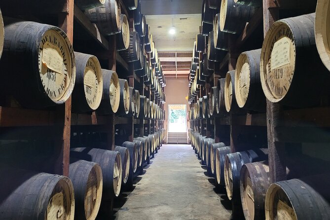 The Barrilito Rum Factory Experience Transportation Included - Key points before you book