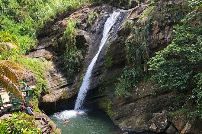 West Coast: Rum Distillery, Concord waterfall, Nutmeg processing - Concord Waterfall and its clear pool