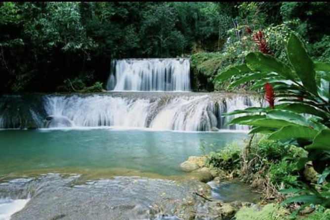 YS Falls and Appleton Estate Private Rum Tour - Cancellation and weather details
