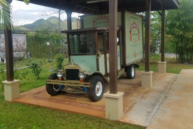 YS Falls and Appleton Estate Private Rum Tour - The Montego Bay to South Coast drive takes patience