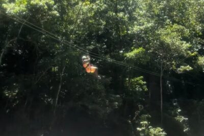 YS Falls, Black River Safari, Appleton Rum Tour OR Pelican Bar (Choose Up to 3)