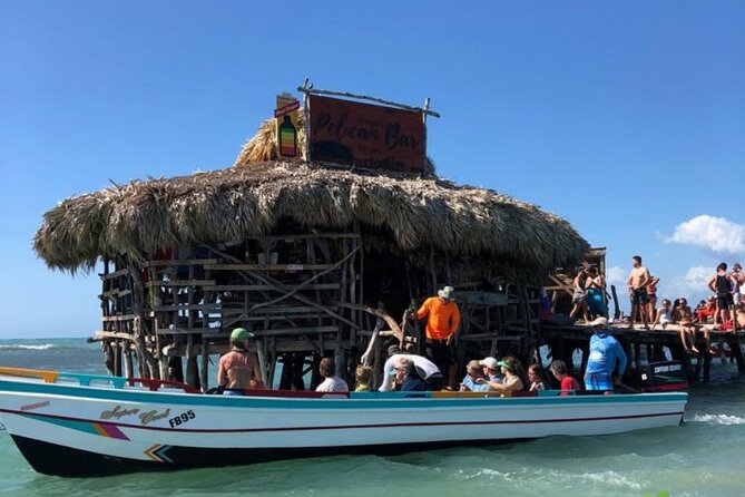 YS Falls, Black River Safari, Appleton Rum Tour OR Pelican Bar (Choose Up to 3) - A realistic schedule from Montego Bay